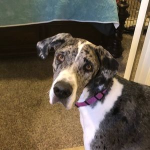 Meet your Posher, Kendall